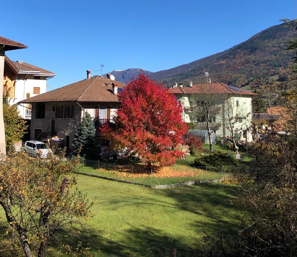 Appartamento Trentino II 코마노테르메 외부 사진