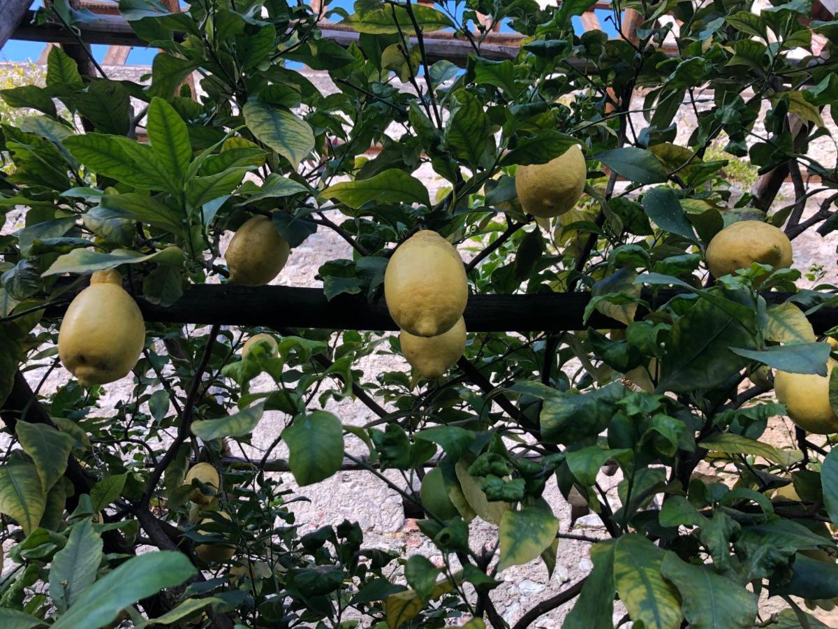 Appartamento Trentino II 코마노테르메 외부 사진