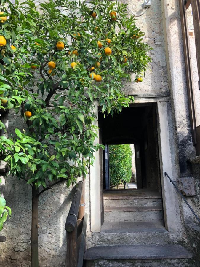 Appartamento Trentino II 코마노테르메 외부 사진
